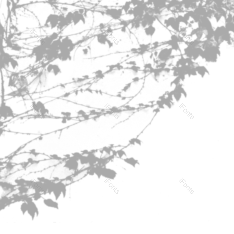 树叶图片,阴影元素,灰色PNG,阳光免抠素材